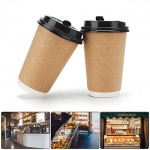 25pcs Disposable Coffee Cups With Lids, Eusoar 12 oz Disposable Double Walled Hot Cups with Lids, Water Cups, Perfect Travel To Go Party Paper Cups for Hot Coffee, Tea, Chocolate Drinks